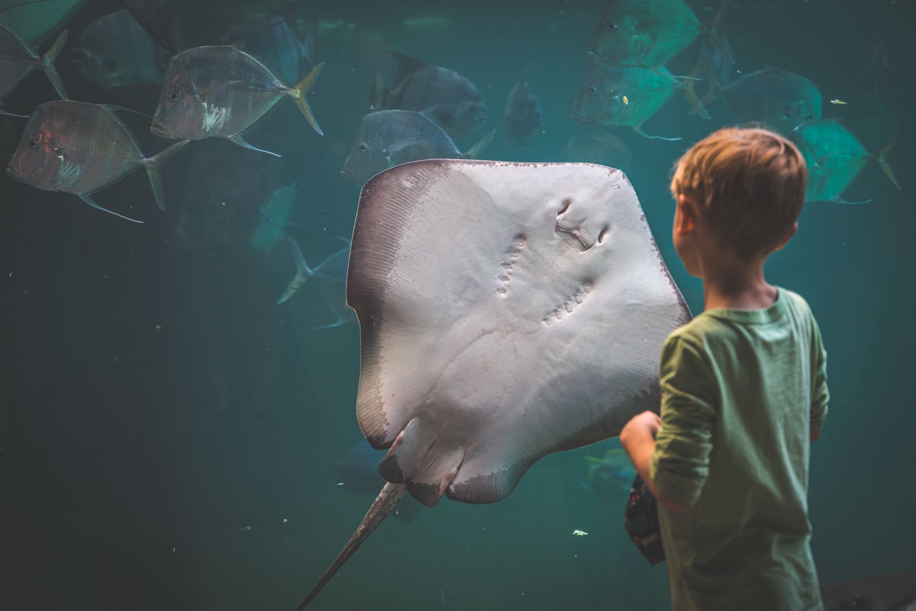 Aquarium du Périgord Noir : un parc du Bugue ancré dans la nature familiale — aquarium poissons visite en famille