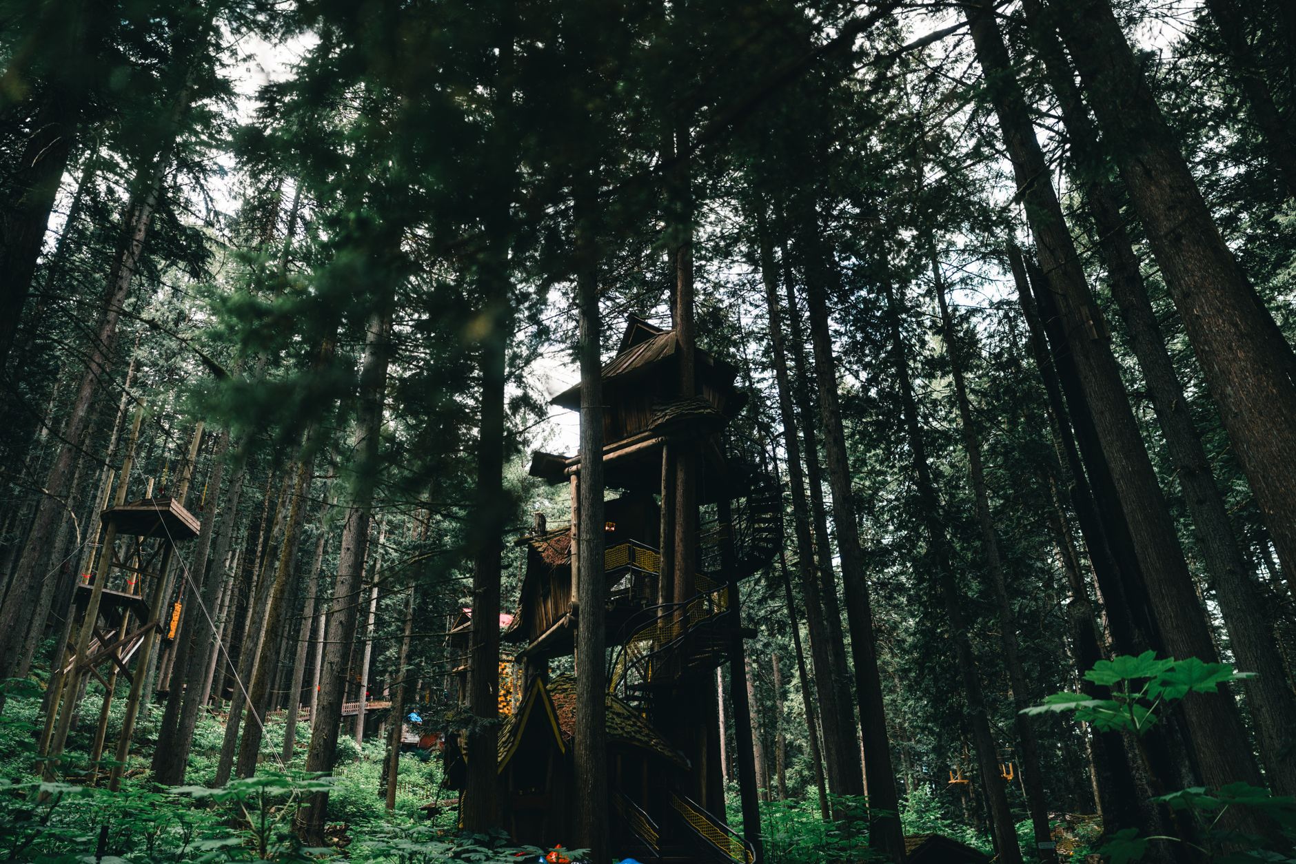 Hébergements insolites en Dordogne : cabanes, bulles et nuits perchées dans la nature — camping insolite cabane bulle