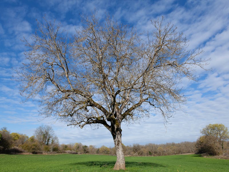Paysage du causse du Quercy dans le Lot